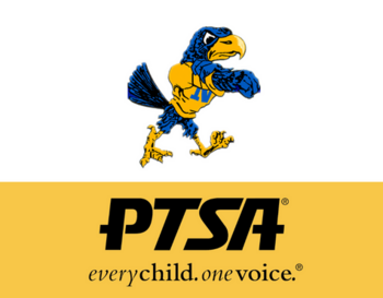 Image: NIS Logo, a navy hawk wearing a yellow sweater with a blue
