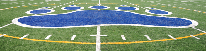Hurley Field