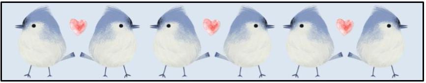 Bluejay header