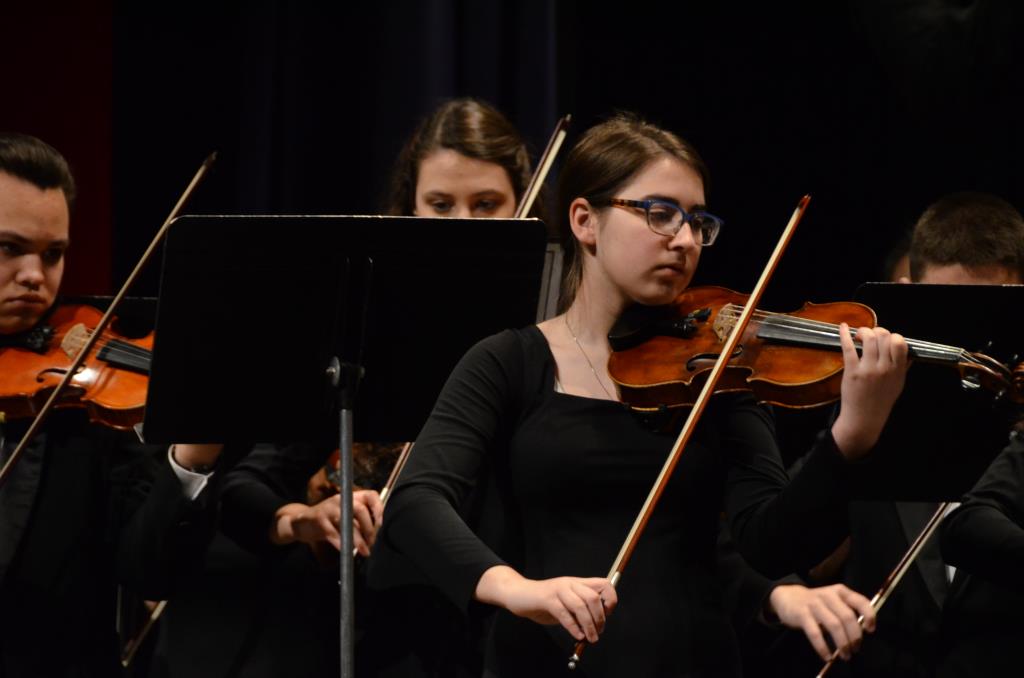 orchestra performance